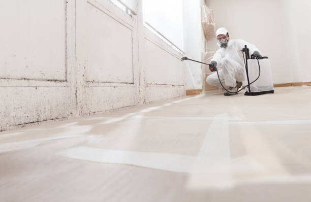 24/7 Emergency Attic Mold Remediation experts in Onley, VA