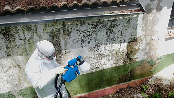 Top rated local Attic Mold Remediation specialists in Onley, VA